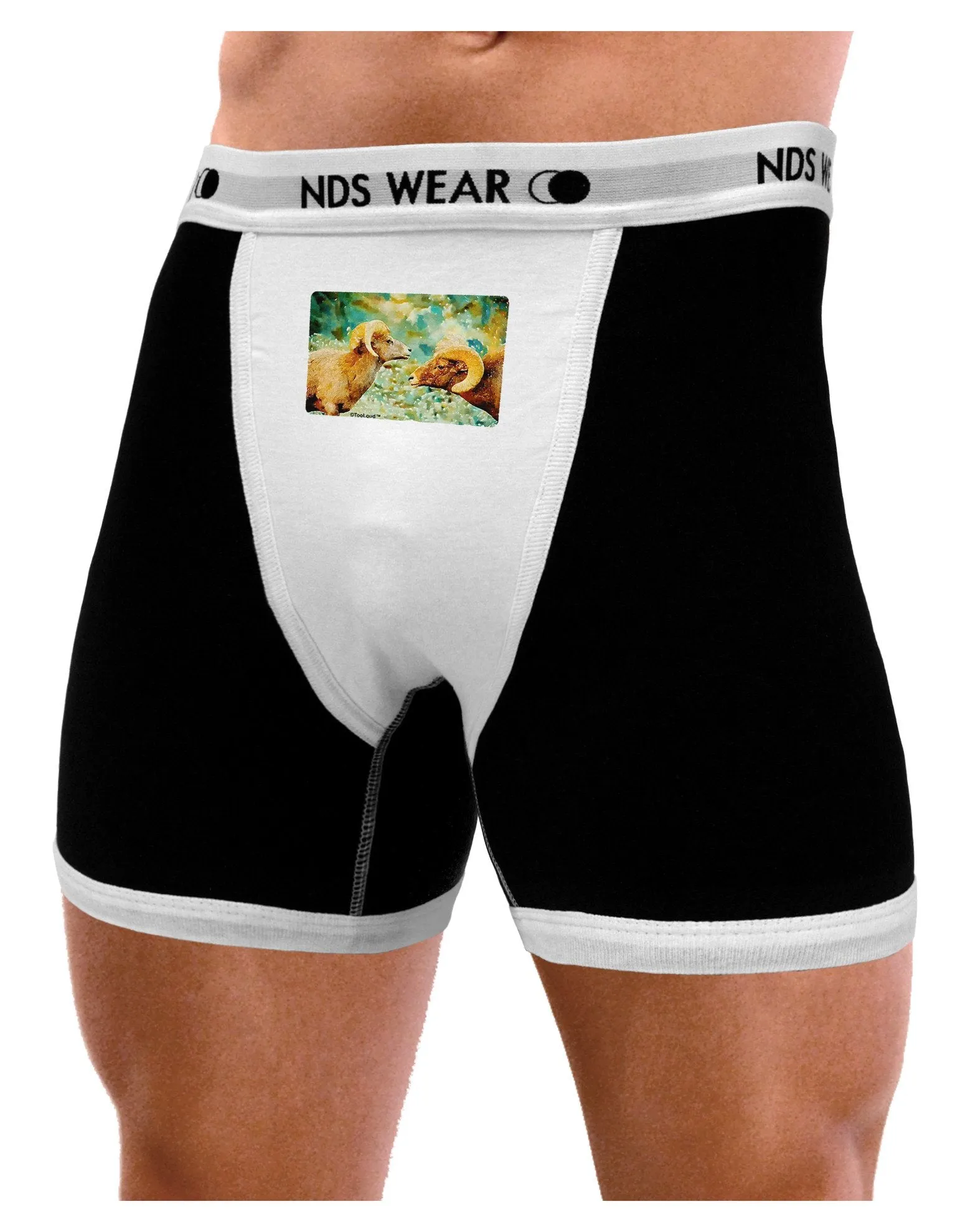 Two Bighorn Rams Watercolor Mens Boxer Brief Underwear